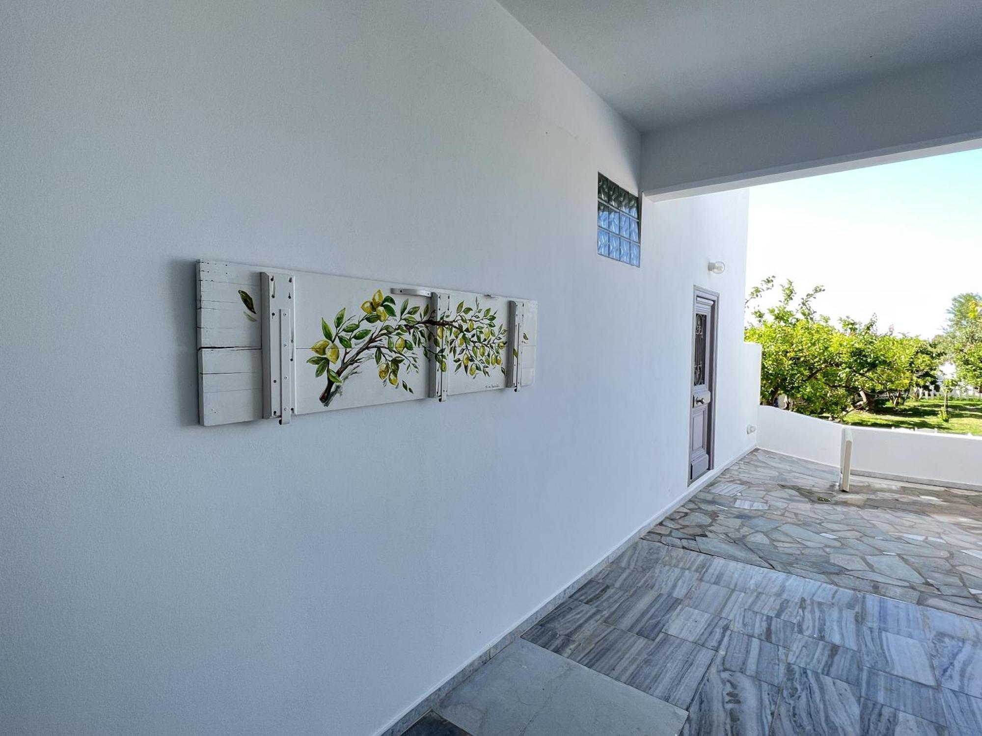 Hotel Anezina Drios Exterior photo